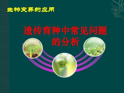 遗传育种中常见问题分析与对策 面向生物育种的实用指南
